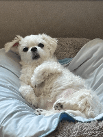 헿헿