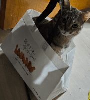 깜순이