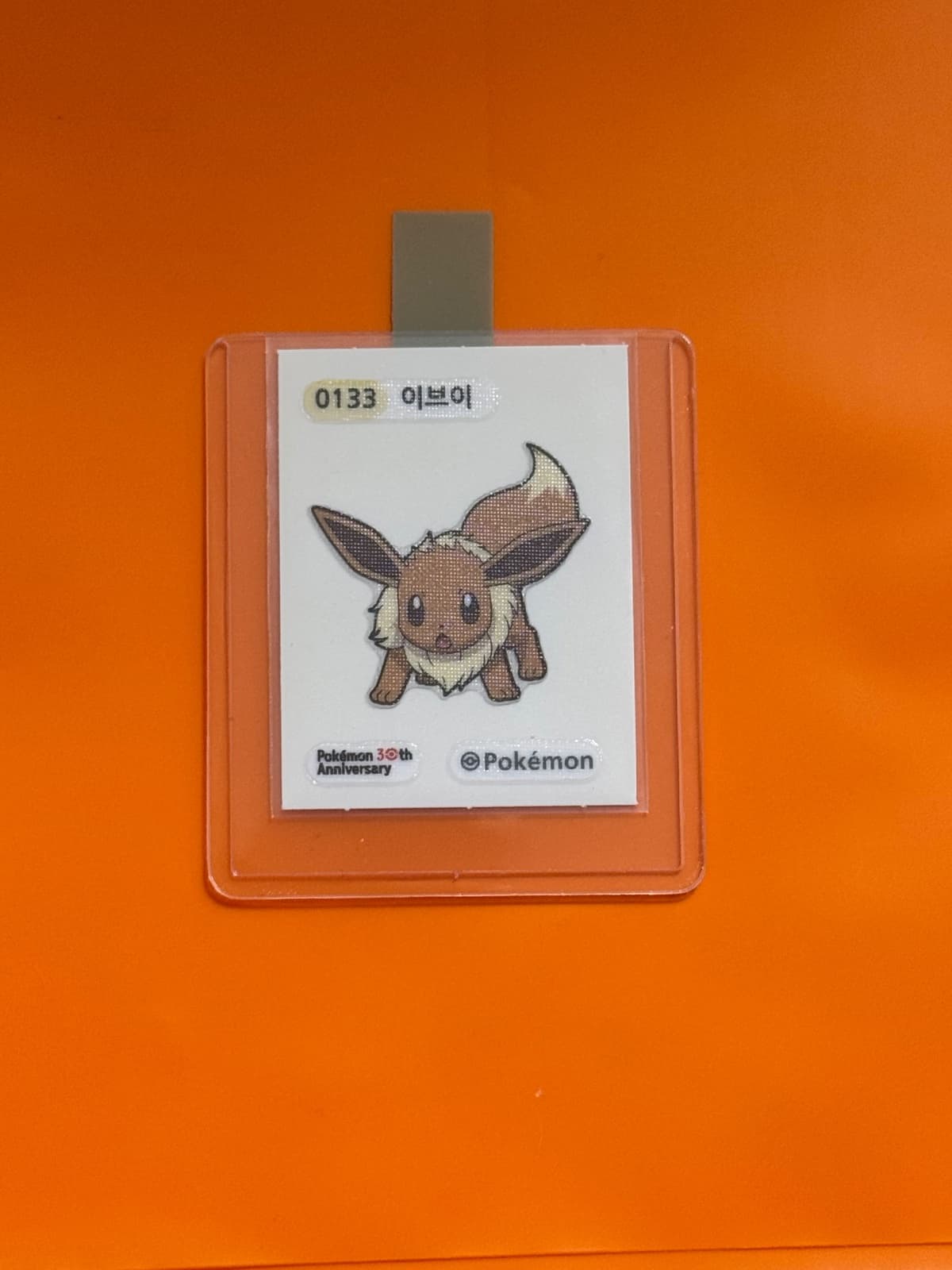띠부실 이브이