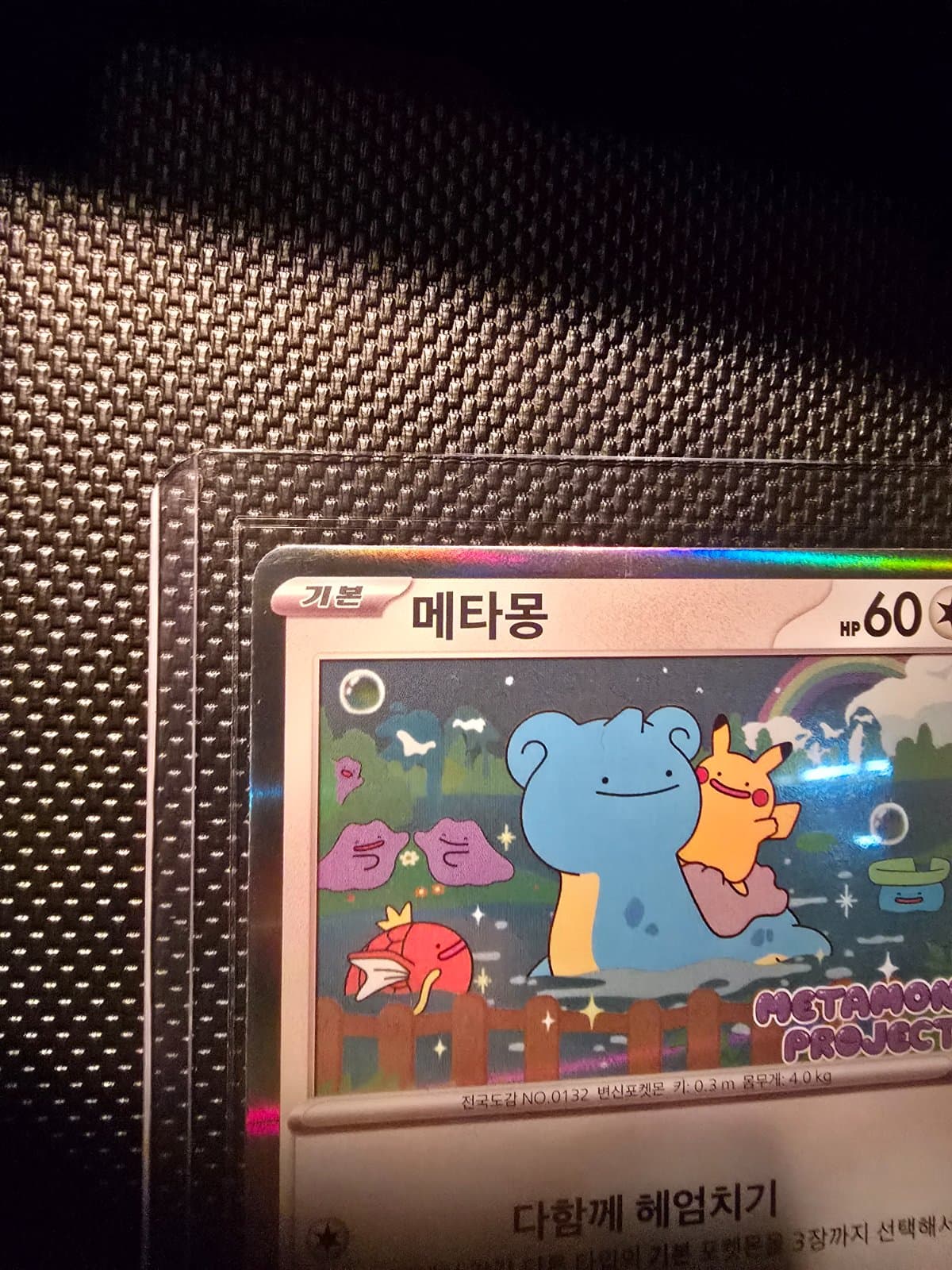 슬라이드 이미지 3