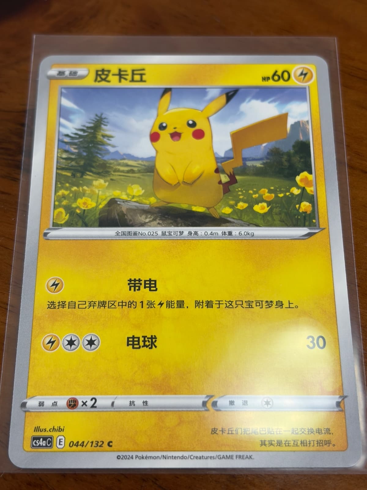 POKEMON⚡️피카츄⚡️ 중판 1