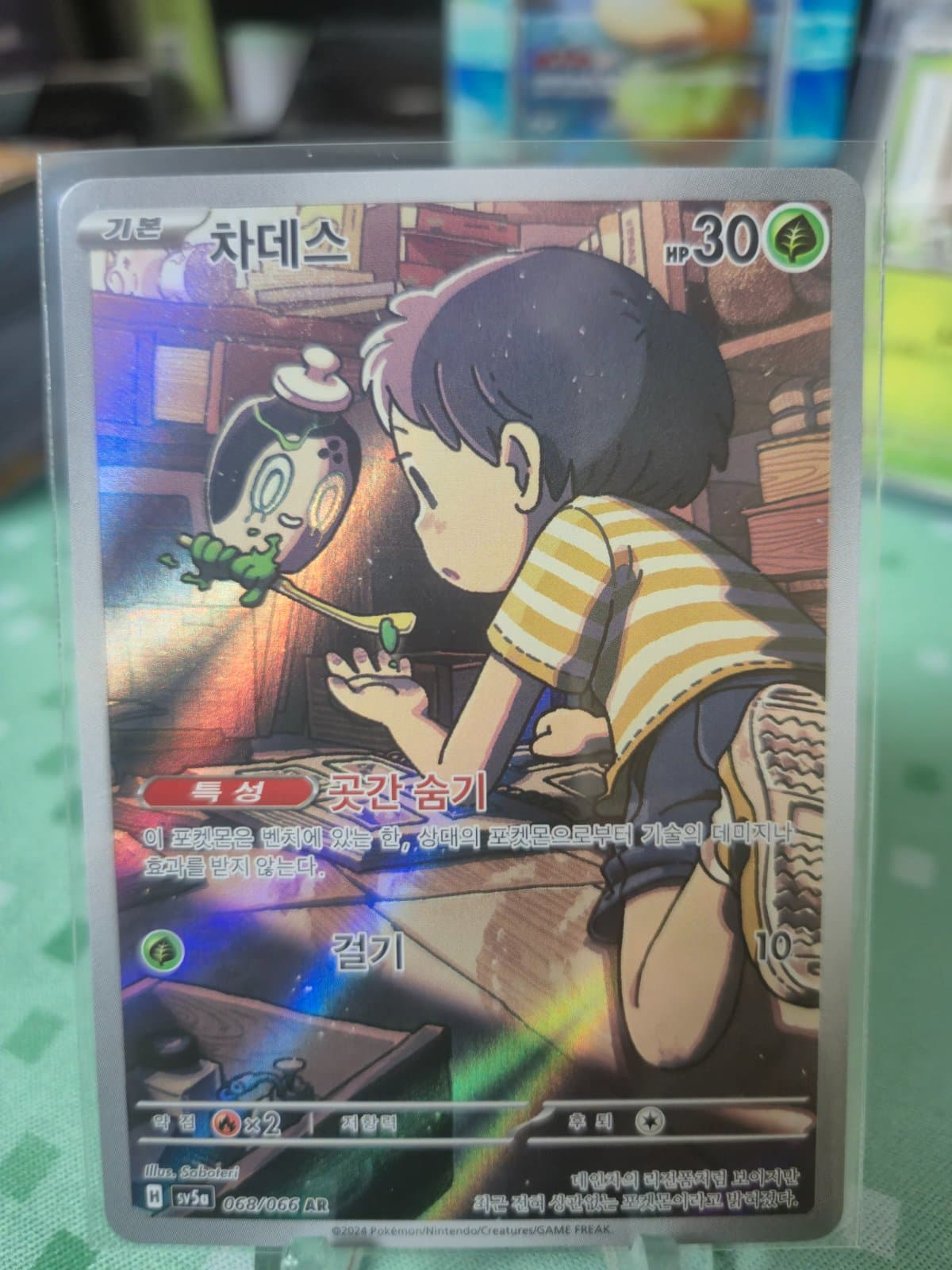 포켓몬카드 차데스 AR