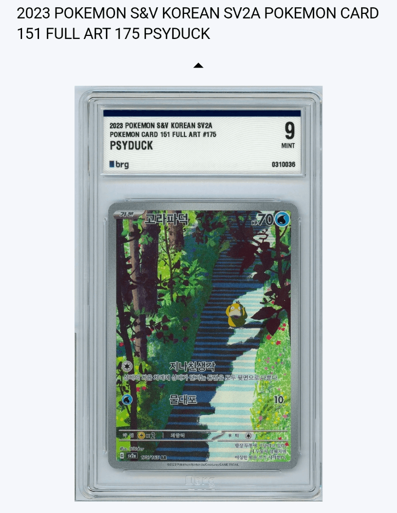 151 고라파덕 ar brg9