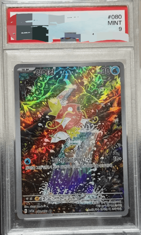 신지칸다 잉어킹 ar psa 9