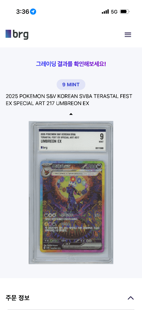 블래키sar brg9등급