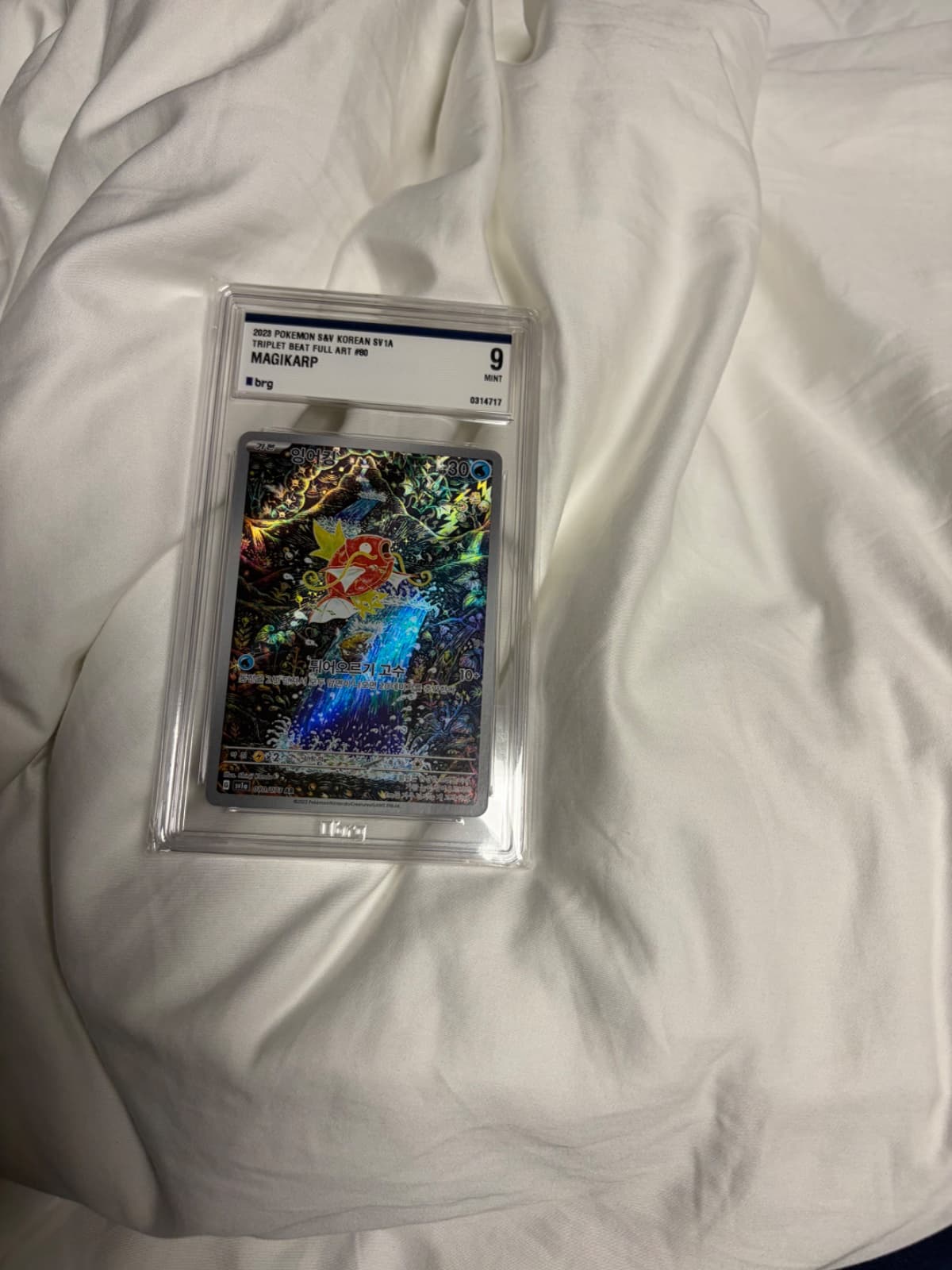 신지칸다 잉어킹ar brg9 0원 경매