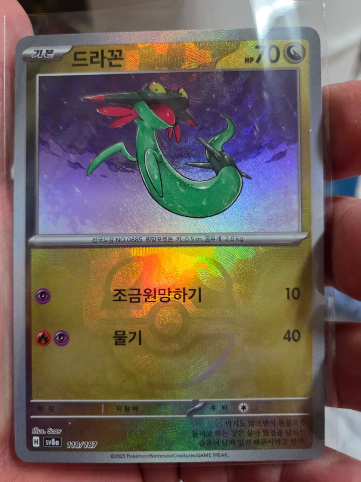 드라꼰 마스터볼