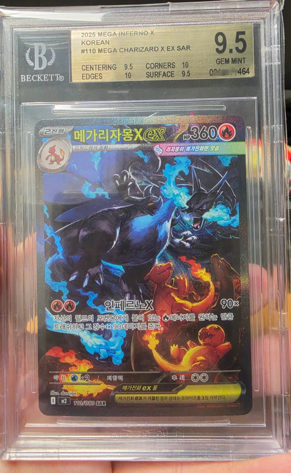 BGS9.5 메가리자몽 X SAR